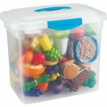 Learning Resources SET, FOOD, CLASSRM PLAY, 100PC LRNLER9723